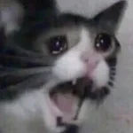 AAAAAH AHAHAHHSAHGFUGWREJBGWYSUVFDYHJ