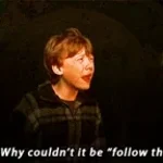 Why Spiders? why couldn't it be follow the butterflies