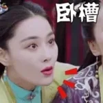 chinesische scheiße