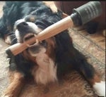 Sam Is Sick and Tired