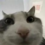 Recording 02/02/26 17:07:11 casle raiders full