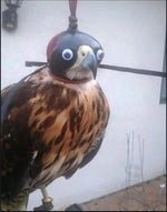 richest player in roblox "lets go"