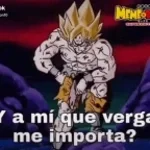 y a mi que vrgs me importa