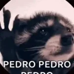 pedro pedro pedro