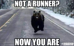 run kyle run