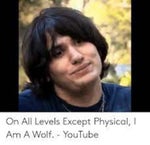 MEME 2020 On All Levels Except Physical I'm A Wolf