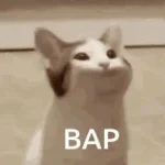 bap
