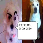 nicopatty - dating start (part1)