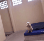 Lebron James 'Sprite Cranberry' Commercial