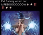 Evil wizard cat