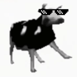 polish cow if it was based