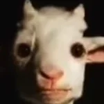 your friend when you tryna lock in