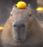 TU TU TU TU TU TU TU TU TU TU