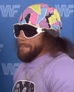 Macho Man Randy Savage interview nothing means nothing