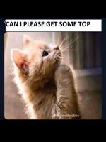 copy E7279CB6 30BE 4991 AB4C 08E9C56F0296