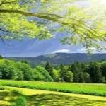 i thought i saw your face today