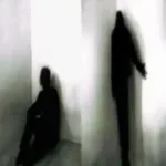 overtonight red wine