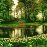 The Natural World C - Standard (1)