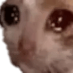 AUUUUUUHHHH (Crying sound))