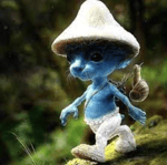 Smurf cat :)