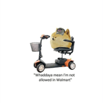 Whaddya mean Im not allowed in the Walmart