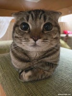 ну что, похимичим - Sound