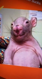 Calvin Harris Feels (Instrumental) - Sound