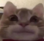 Common John Legend Glory pt1