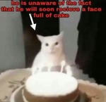 Spongebob disappointed sound (Steel Sting)