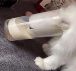 nathansusgood - Sound