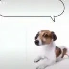 wenimechuainthesumma - Sound