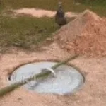 trap royalty (Trap Queen)