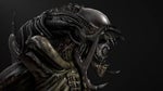 Predalien 2010 Growling