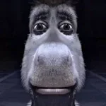 TAK TAK TAK TAK KAPIDA AM WAR