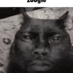 CHATTOGRAM AR KHKIMAGIR POLA