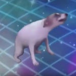 DANCE TILL YOU'RE DEAD