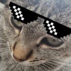 Risa nachito - Sound