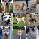 Everybody is doing very well