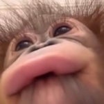 승용이형챌린지 - Sound