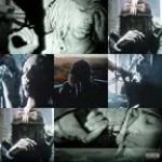 do you want me (copy)