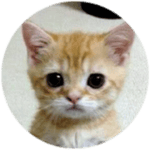 Xue Mao Jiao Xiao Pan Pan & Xiao Feng Feng