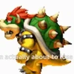 bowser far