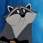 meeko survivant