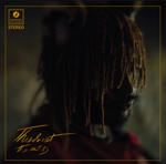Thundercat - funny thing PART 2