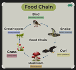 sans song super good