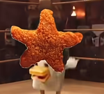 chicken stars