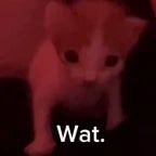 if u think im pretty