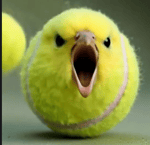 Pigeon ai scream meme - Sound