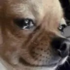 mama pls dont cry am sorry - Sound