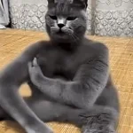 Ai cat slapping
